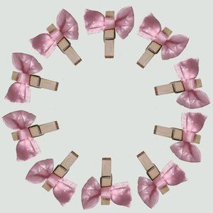 NEW Handmade 10 pcs Mini Clothes Pin Pink Bow Decor Set